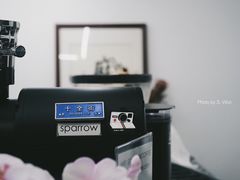 大堂-麻雀咖啡SPARROW COFFEE(十全街店)