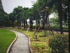 -上海市保健医疗中心(华东疗养院)
