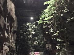 -龙达温泉生态城