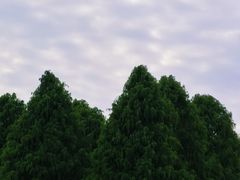 -阳澄湖半岛旅游度假区