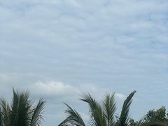 -三亚海棠湾万丽度假酒店