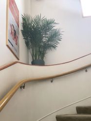 -WENDY·温迪皮肤管理