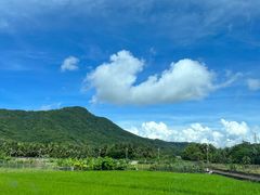 -亚龙湾国际玫瑰谷