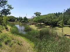 -尚贤河湿地