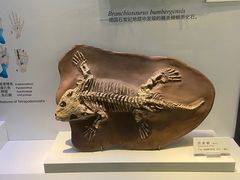 -重庆自然博物馆(新馆)