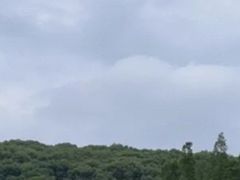 -上海佘山国家森林公园东门地面停车场