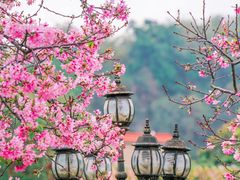 -宝墨园景区