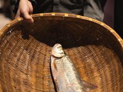 -宁波柏悦酒店·钱湖渔港