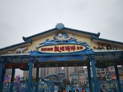 -海合安成都极地海洋公园