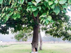 -汉长安城未央宫国家考古遗址公园