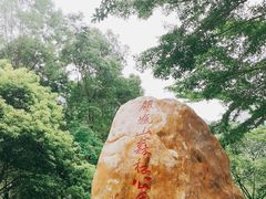 -银瓶嘴森林公园