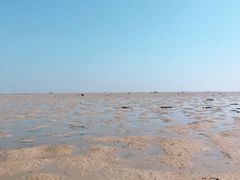 -红树林天天赶海