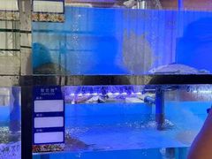 -聚宾楼·烤鸭·家宴(科技三路店)