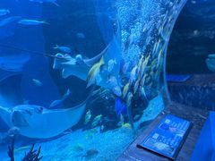 -海合安成都极地海洋公园