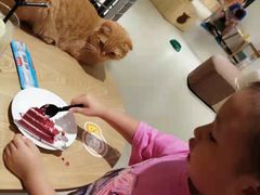 -藏猫猫咖啡主题馆(中央大道店)