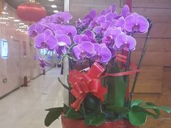 -东四民芳餐厅(世茂工三店)
