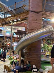 -卡通尼·Safari非洲探索乐园·生日会(金桥国际商业广场店)