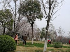 -堤角公园