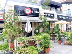 -吉丁鸟咖·异宠·寄养