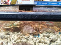 -盒马鲜生(皇庭广场店)