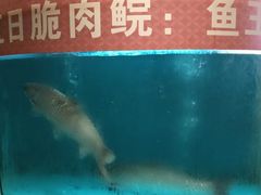 -红日饭店(裕隆三路店)