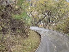 -富斯特索道