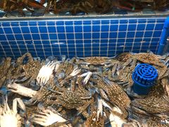 -蓝钻·国际美食海鲜自助百汇(西直门店)