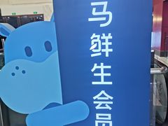 -盒马鲜生(大成店)