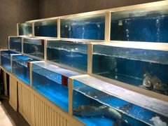 水产区-福季酒店(怡园绿景店)