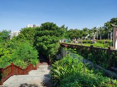 -金鸡岭桥头公园