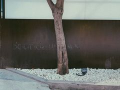 门面-boundaries籬苑(瑞光创意工厂-贰号院店)