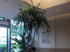 -Peet's 皮爷咖啡(海雅缤纷城店)