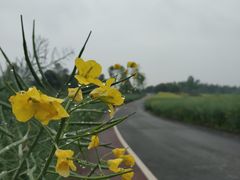 -樱桃山旅游景区