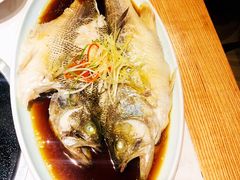清蒸鲈鱼-黑鸡小馆(金源店)