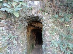 -梧桐山风景名胜区