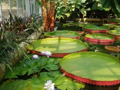 -国家植物园南园