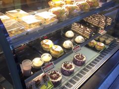 -龙兴·动物奶油生日蛋糕(龙北店)
