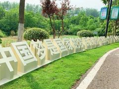 -金陵矩阵(聚宝山公园店)