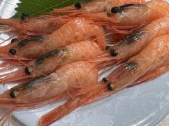-争鲜回转寿司(浦东三钢里PLUS店)