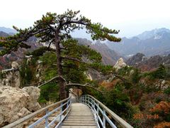 -尧山风景区