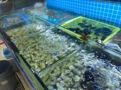 -江南村海鲜馆(洞头店)