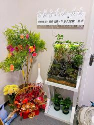 -苗塑堂减肥·艾灸