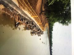 -泰安地下龙宫景区