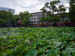 -四川大学(望江校区)