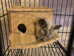 -平行世界·猫咖(首经贸店)