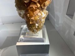 -中国地质大学逸夫博物馆