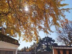 -南岳大庙