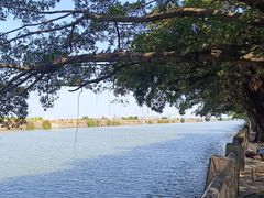 -大湾区中央湿地公园
