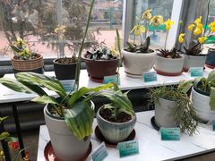 -国家植物园南园