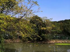 -上海佘山国家森林公园东门地面停车场